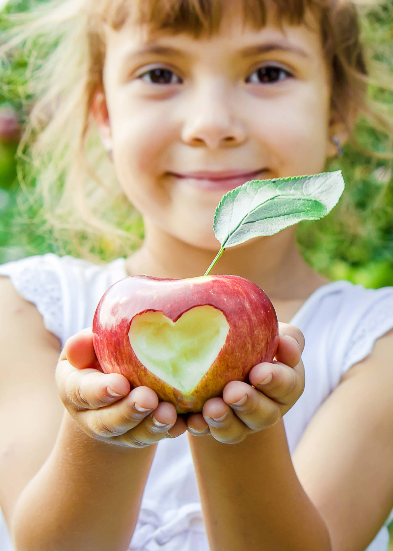 Chesterfield Childcare – Wingerworth Wonder Years Nursery